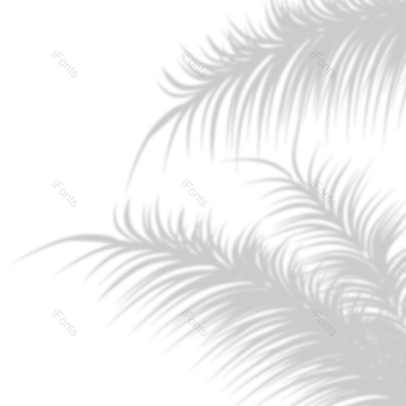 树叶图片,元素,PNG,免抠素材